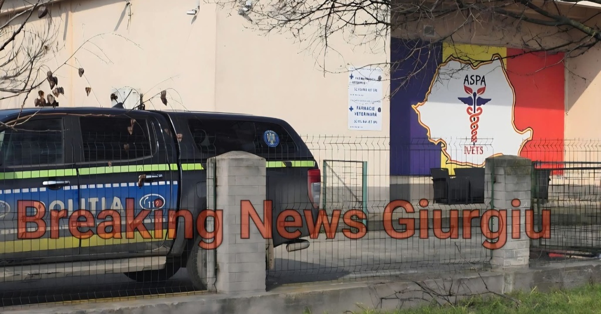 câini morți adăpost Uzunu Giurgiu anchetă poliție